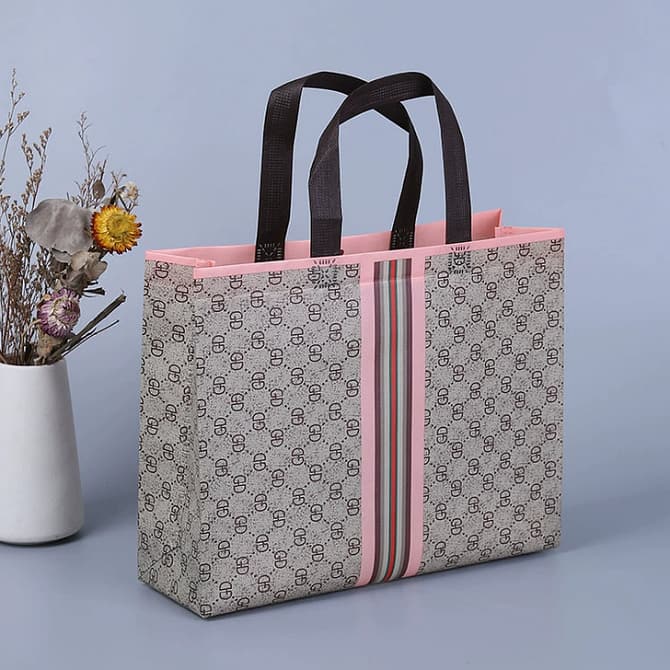 designer gift bag for souvenirs and gifting