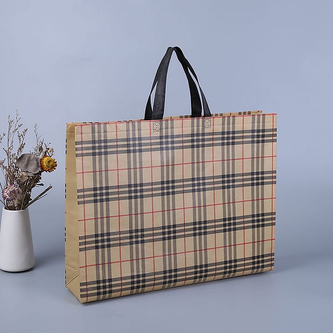 Burberry design souvenir gift bag